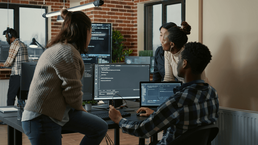Blue Door Software Group Consulting Team
